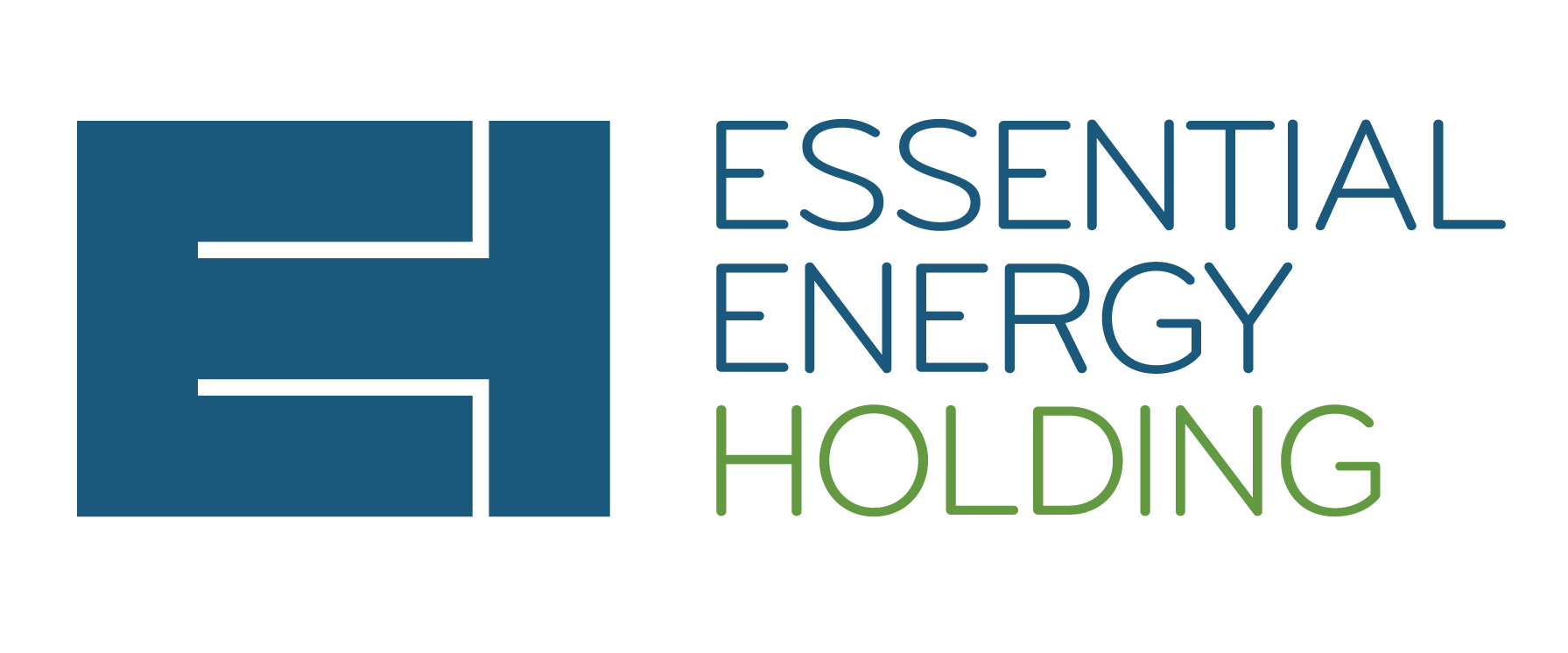 Essential Energy Holding